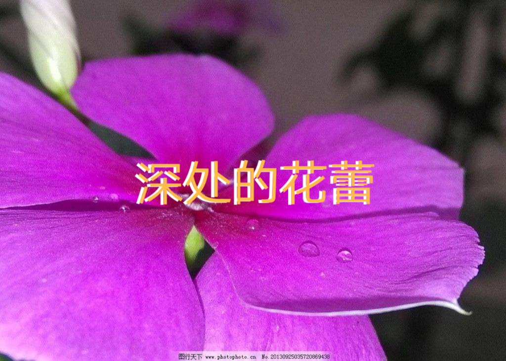 picname