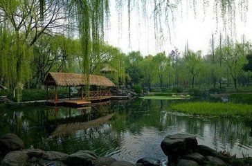 【诗生活】人品至上 ‖ 作者: 王连清
