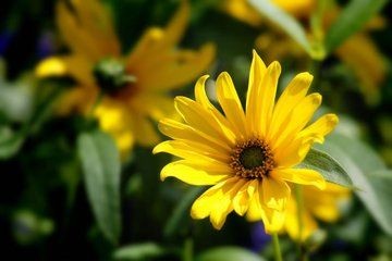 【诗生活】池上絮 ‖ 作者:王爱玲/山东威海
