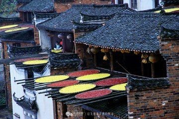 【诗生活】谁不染人间烟火 ‖ 作者:张雅掀