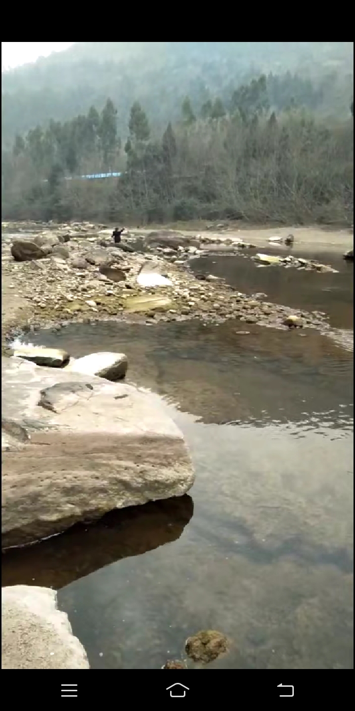 picname