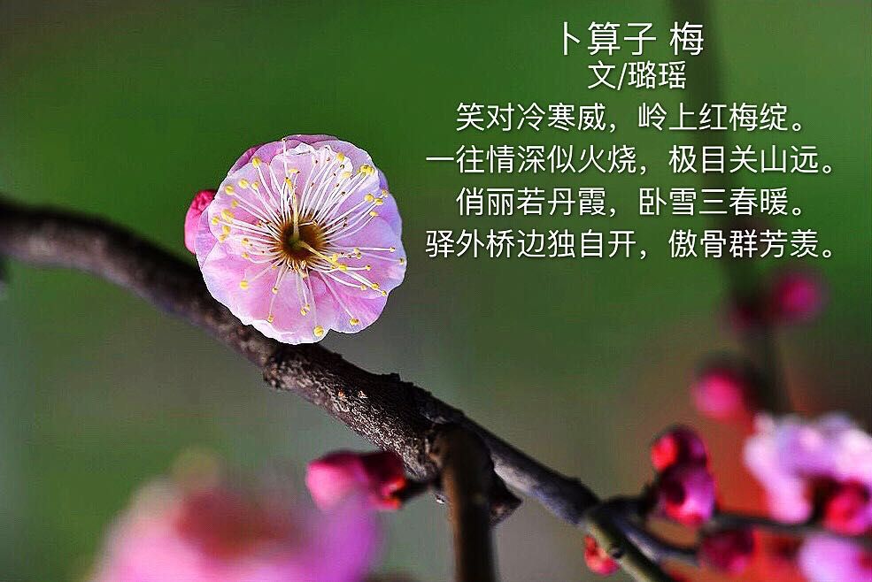 picname