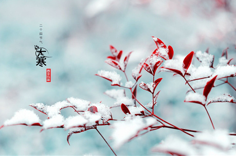 【诗生活】儒音专栏‖谷雨
