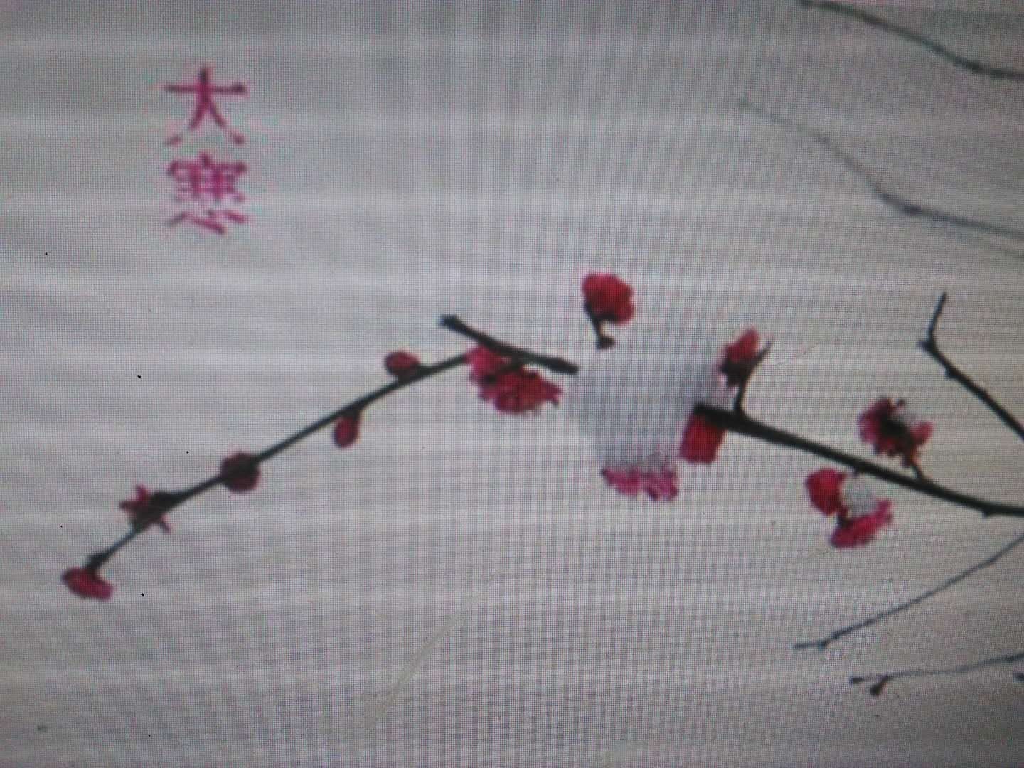 【诗生活】大寒 文/郁青