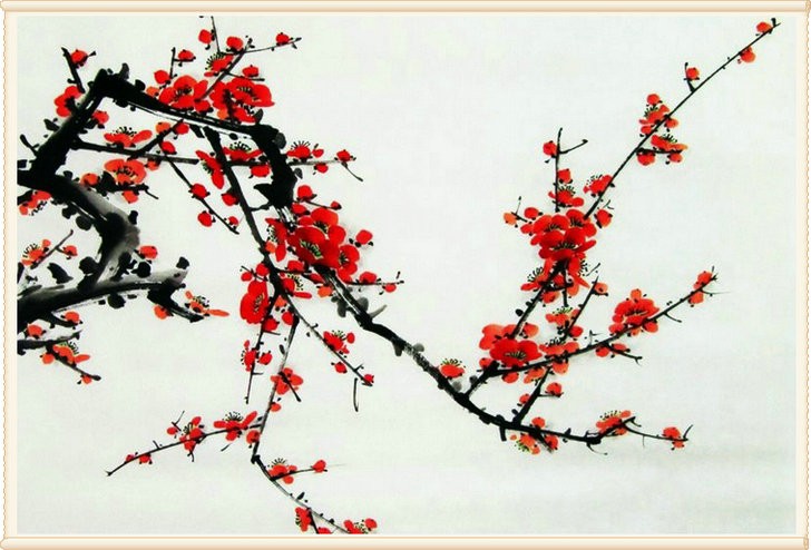 【诗生活】素描一朵梅红 文/张雅掀