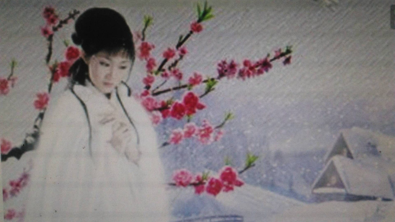 【诗生日】遇见叫梅花的女子 文/徐实大
