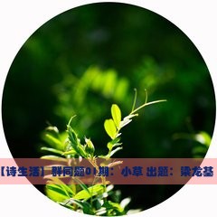 【诗生活】群同题 ‖ 小草（草）‖出题人:梁龙基