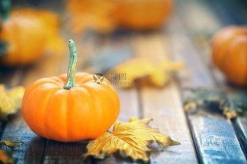 【诗生活】你坐在秋天里 文/荒海落木