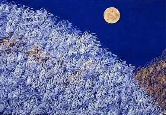 【诗生活】芦苇 文/楚衣飞雪