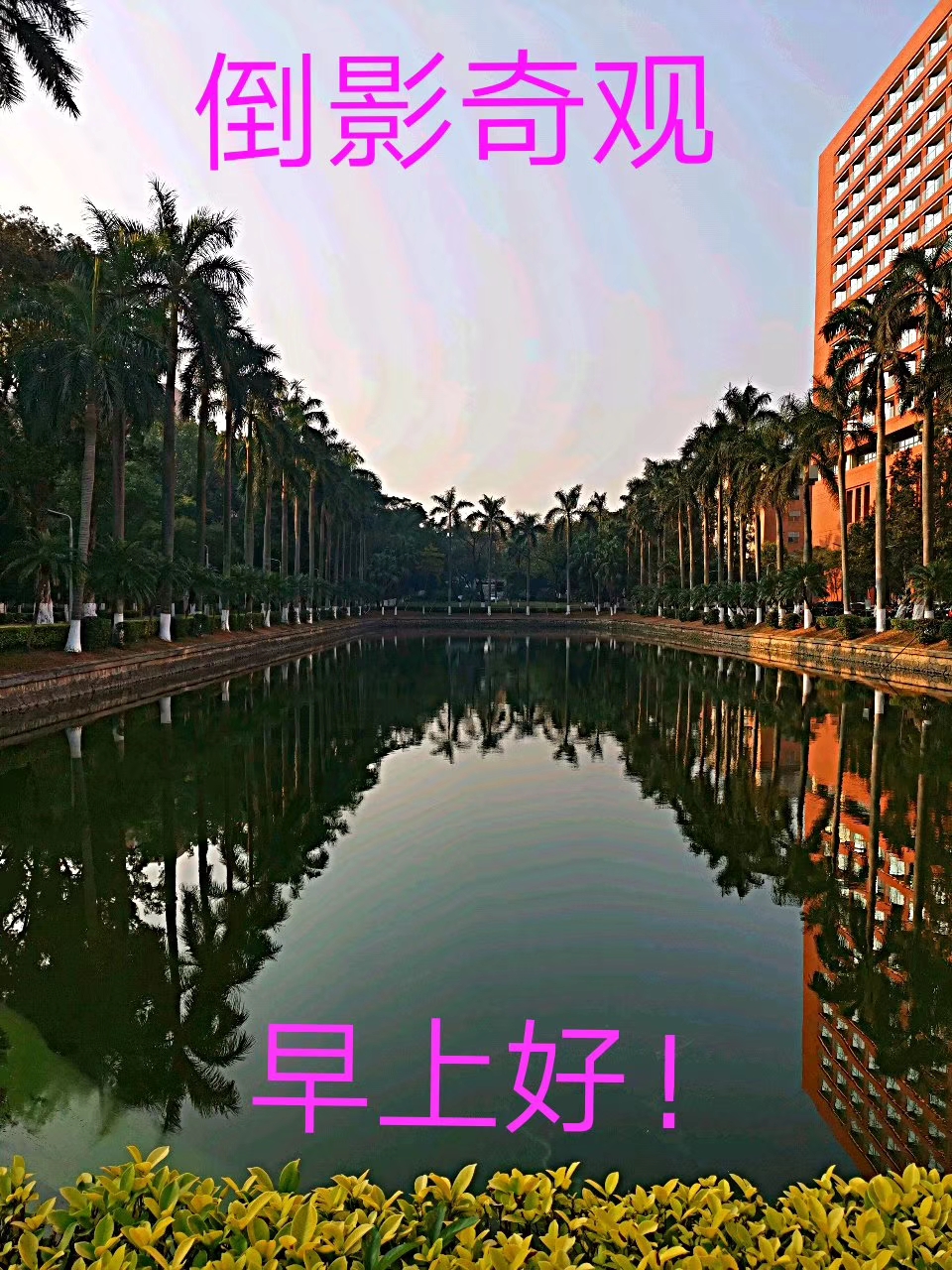 picname