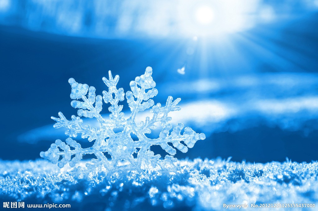 【诗生活】你那里下雪了吗? 文/张雅掀