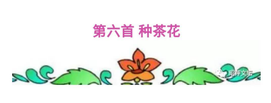 picname