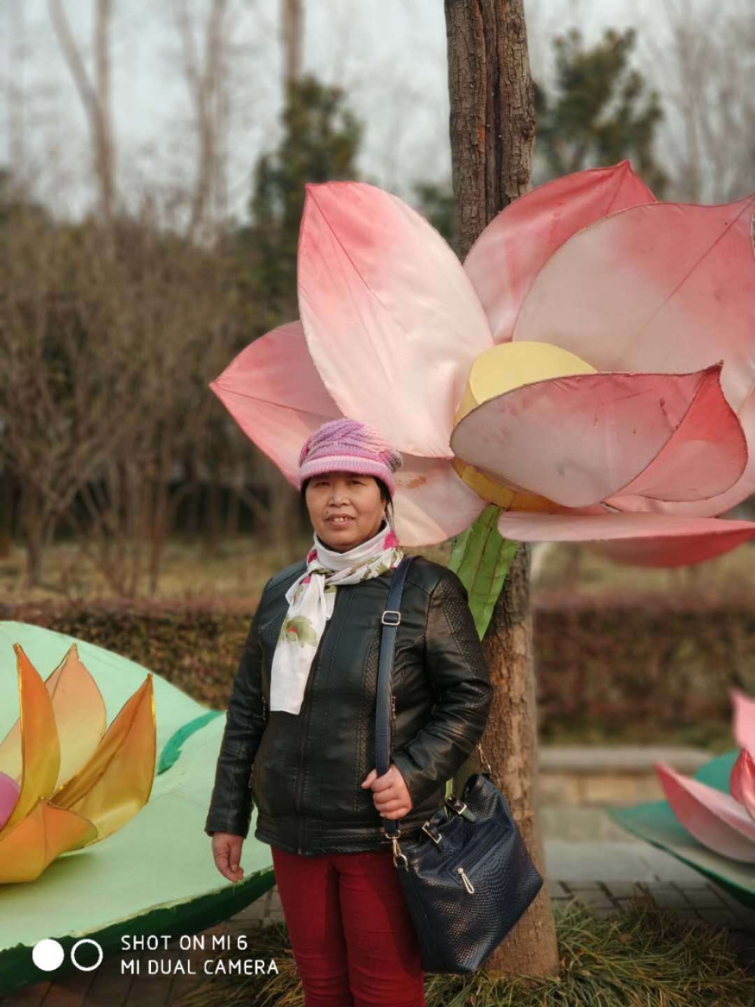我的世界无你 文/竹林听雨（图5）
