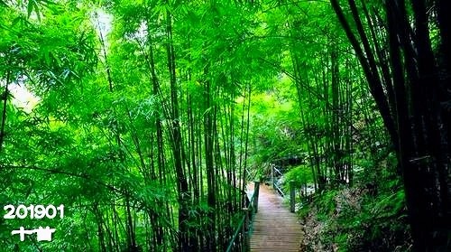 半桌《201901：十首》第三期（总第97期）选刊的作品（图2）