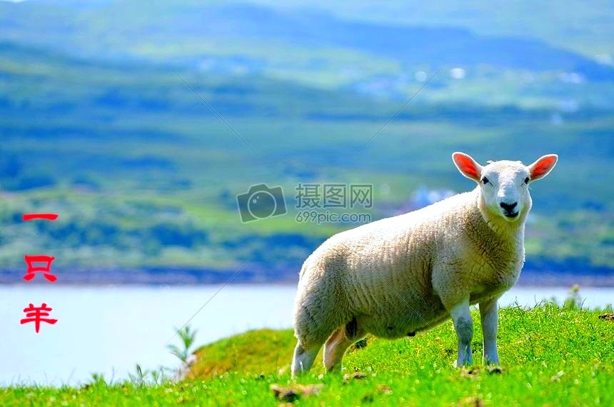 占东海《一只羊》第三期（总第100期）选刊的作品（图2）