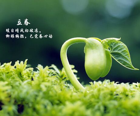 picname
