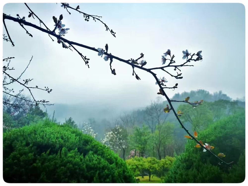 春 文/易生诗梦（图2）
