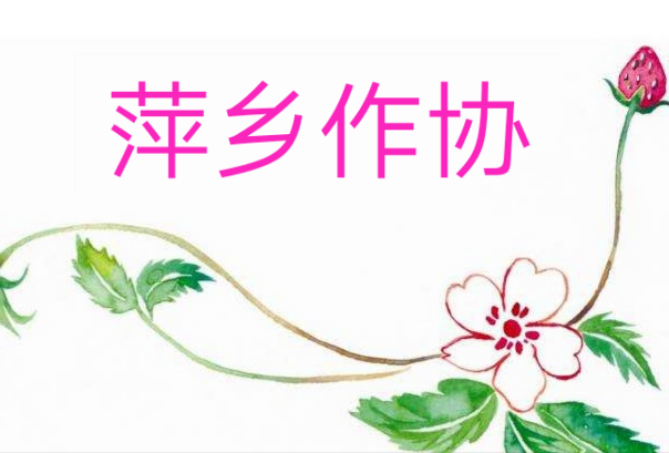 picname
