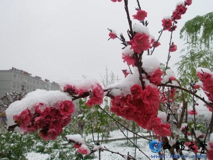 徐东风《雪》外一首诗第三期（总第107期）选刊的作品（图2）