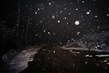 【诗生活】黑雨 文/青女