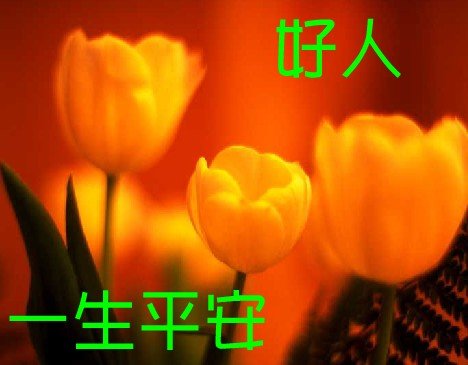 picname