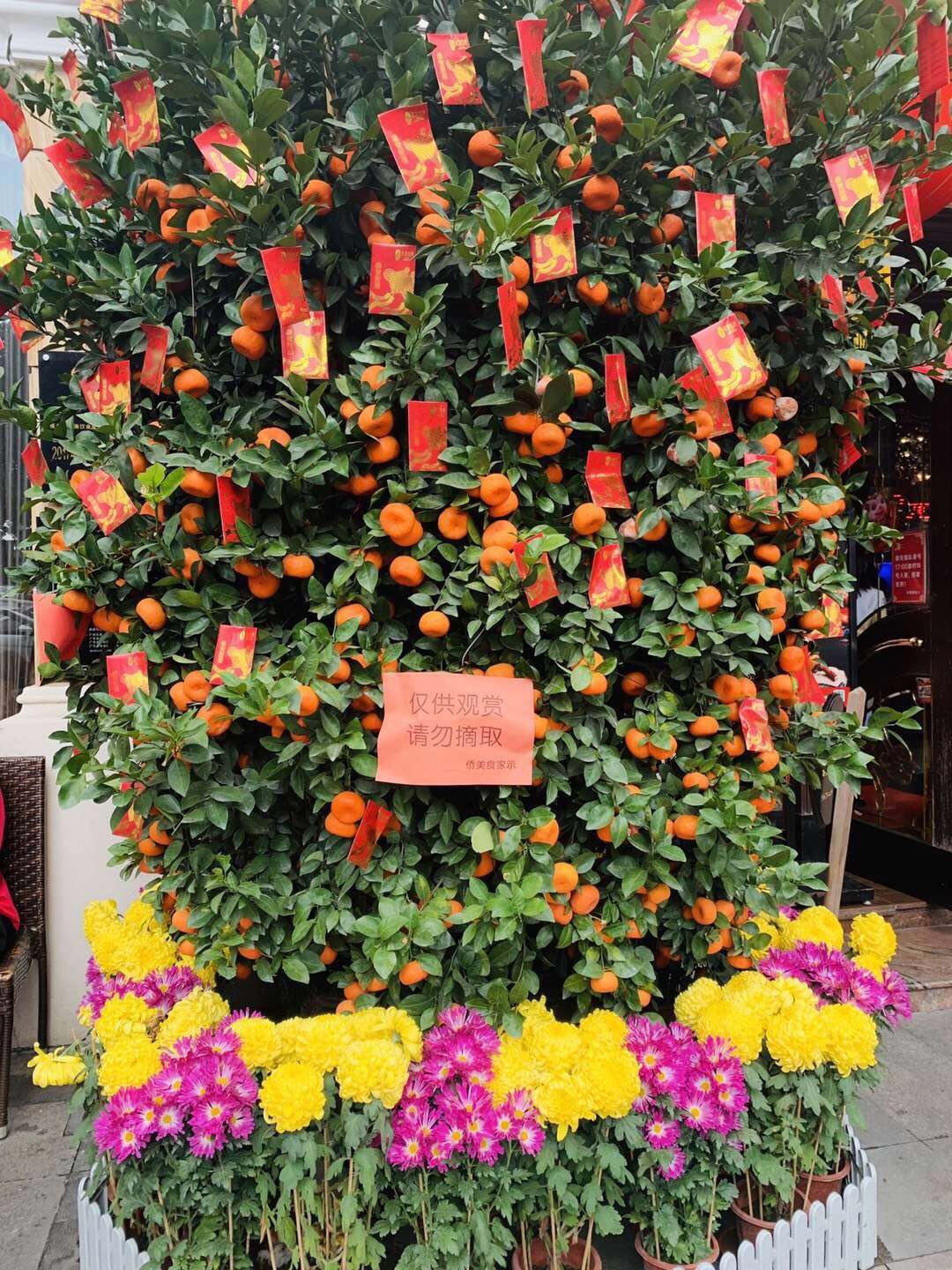 picname