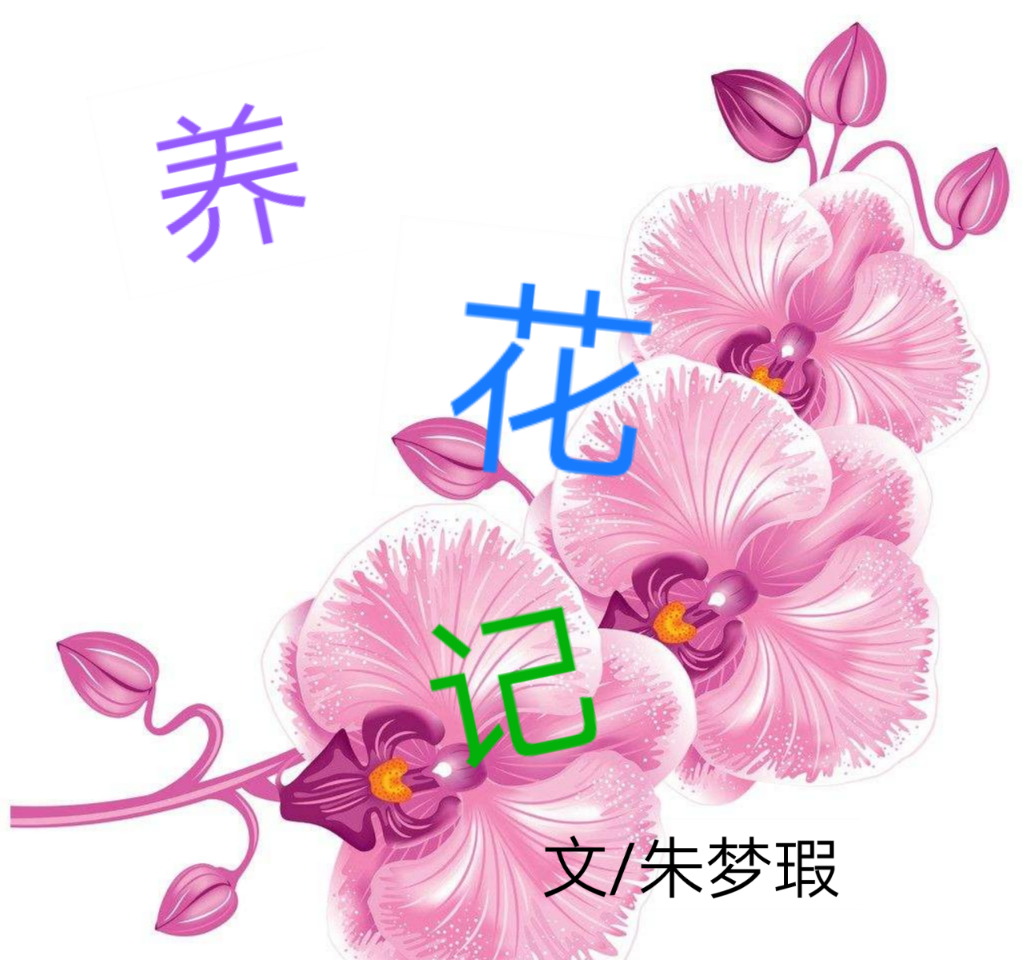 picname