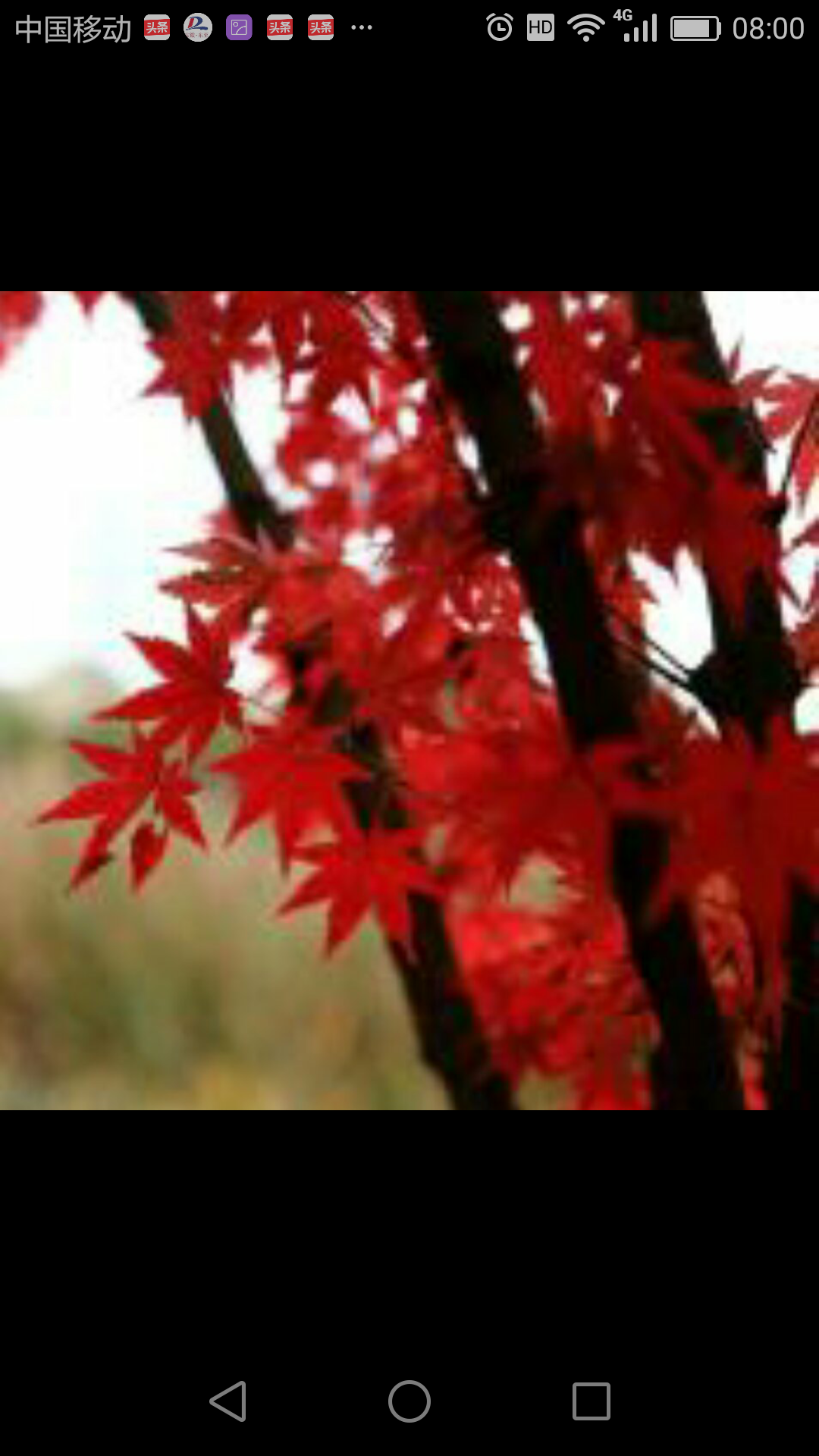 picname