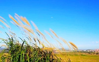 杨凯《风尘》散文诗第四期(总第127期)选刊的作品(图2)