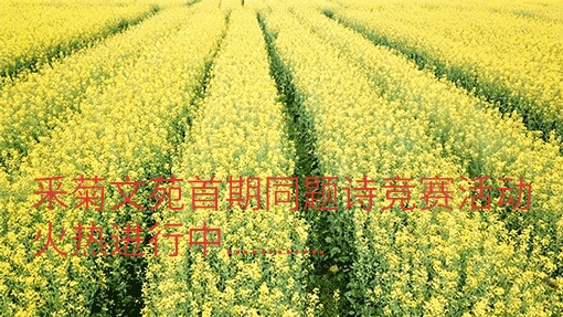 picname