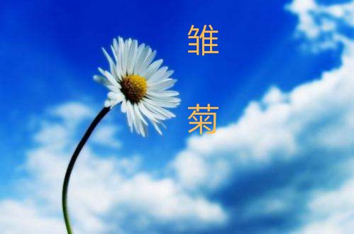 picname