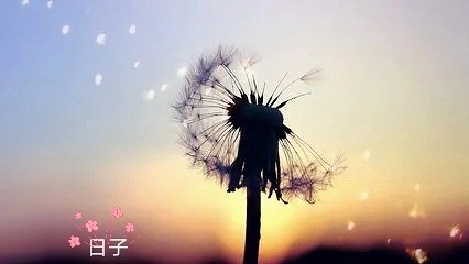 殷宏章微小说《日子》第五期(总第152期)选刊的作品