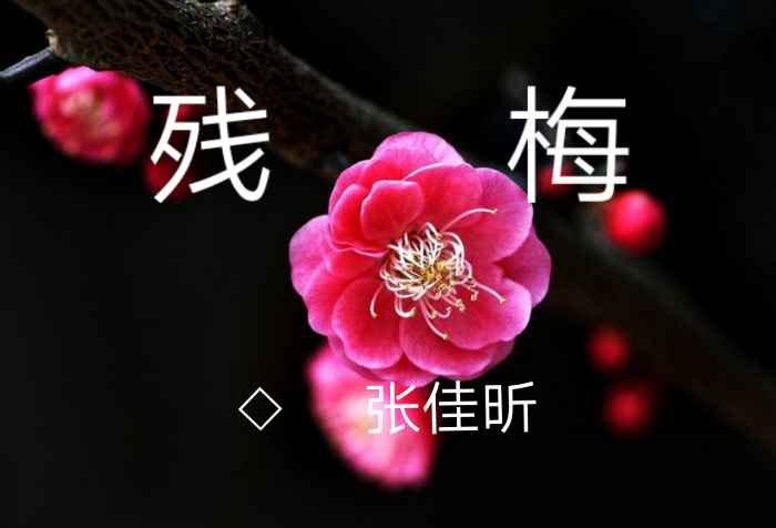 picname