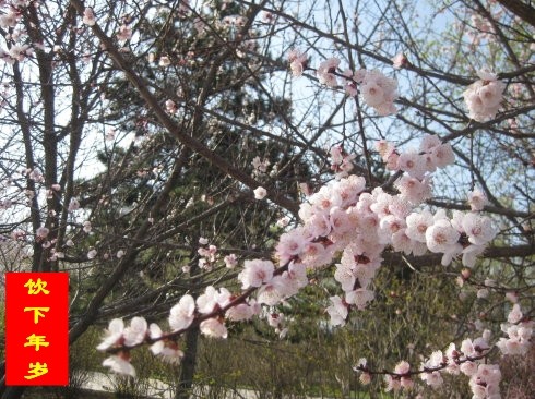 冯勤华《饮下年岁》短诗第四期（总第150期）选刊的作品（图2）