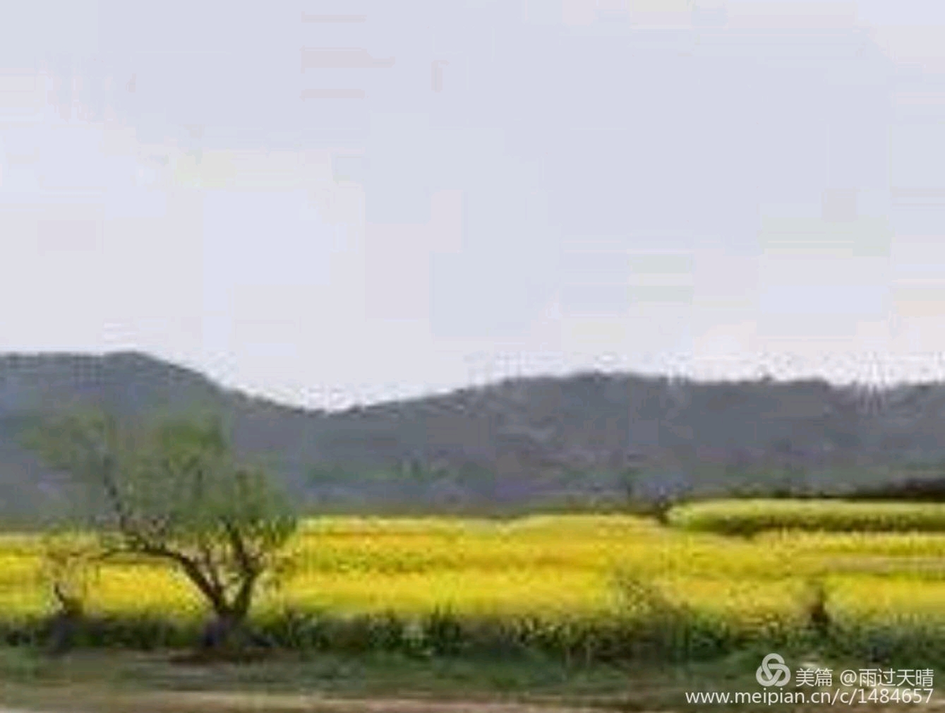 picname