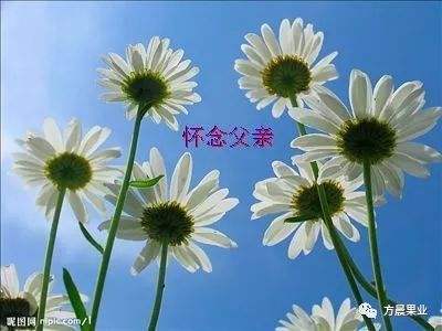 picname