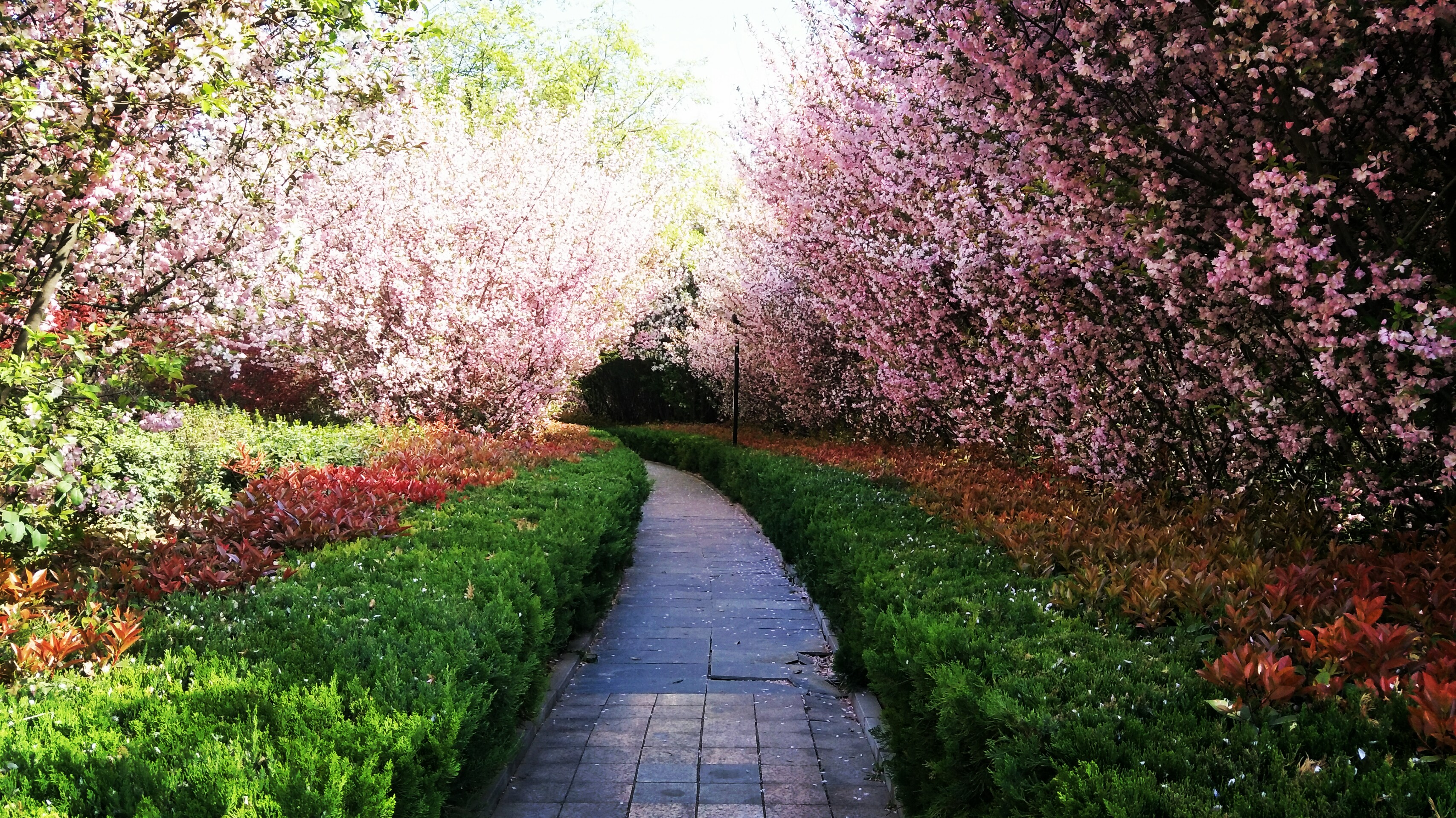 picname