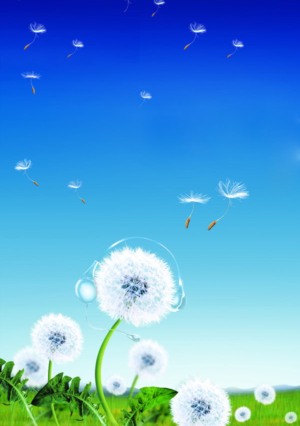picname
