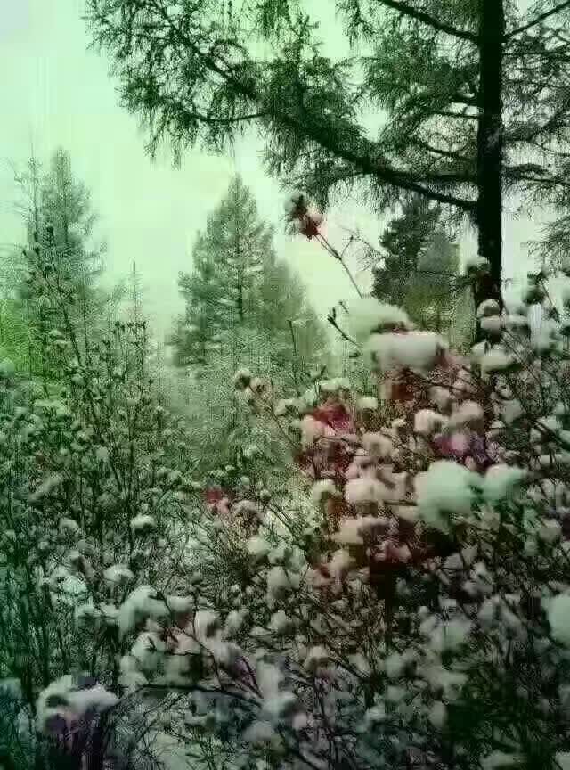 picname