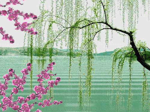 500_374gif ̬ͼ ͼ