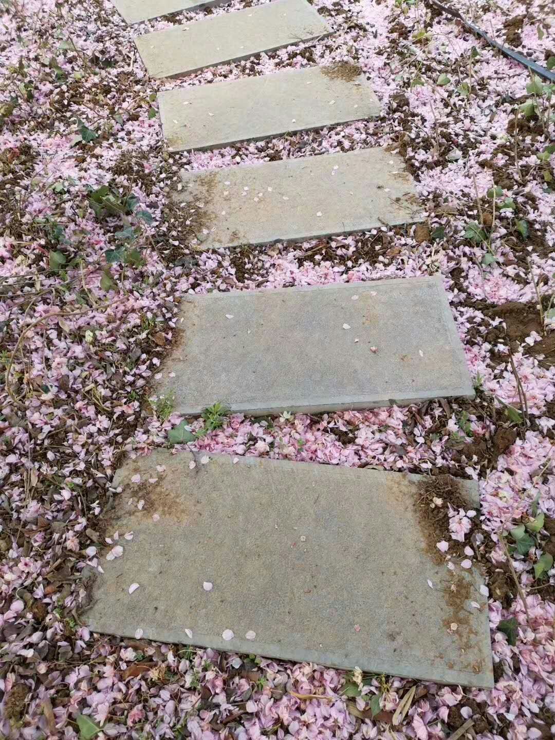 picname