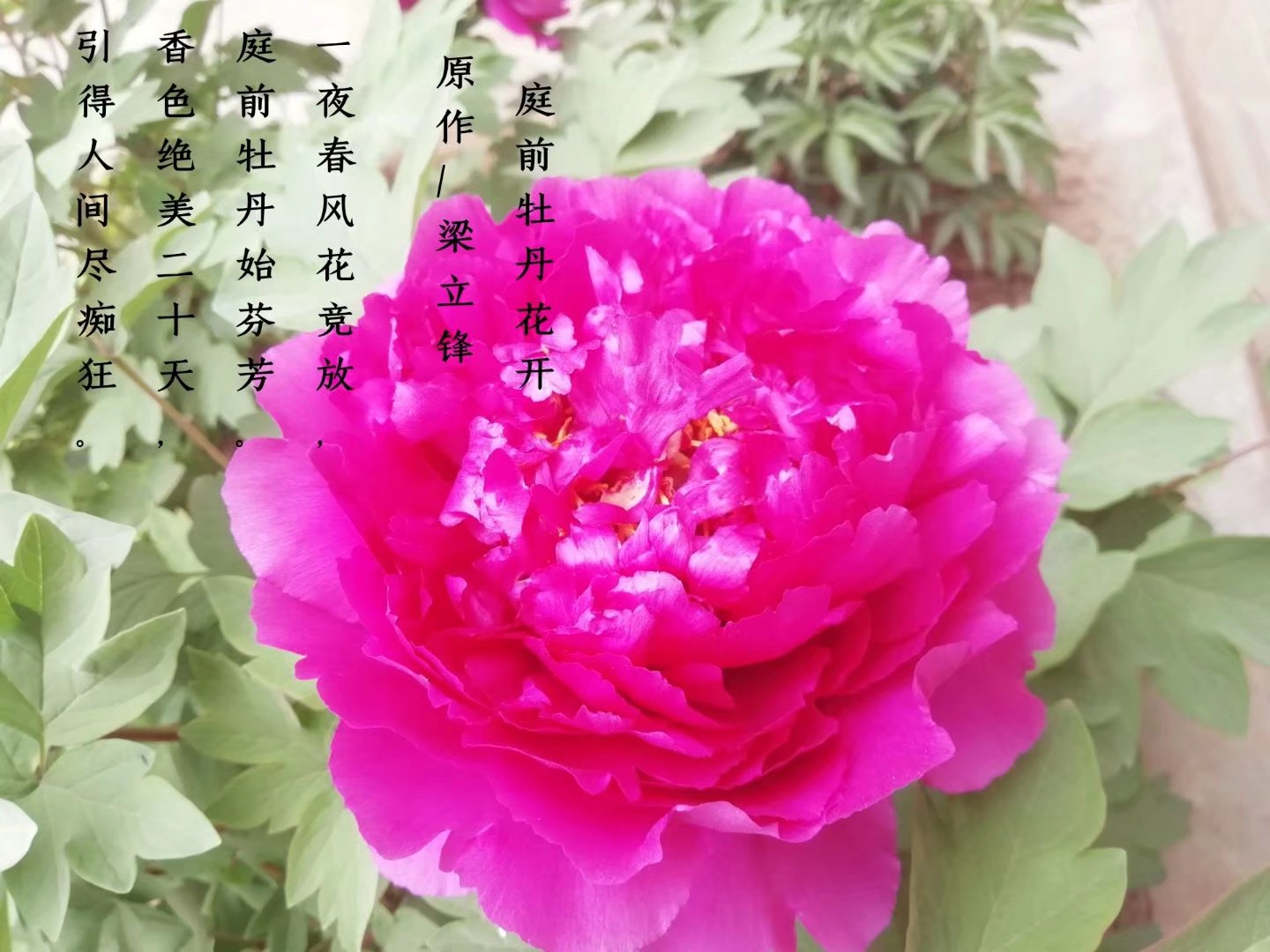 picname
