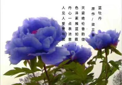 picname