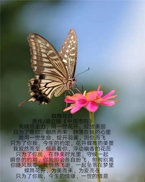 picname