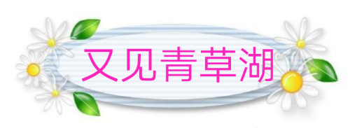picname