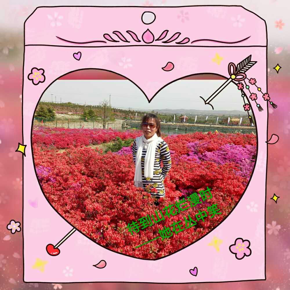 picname