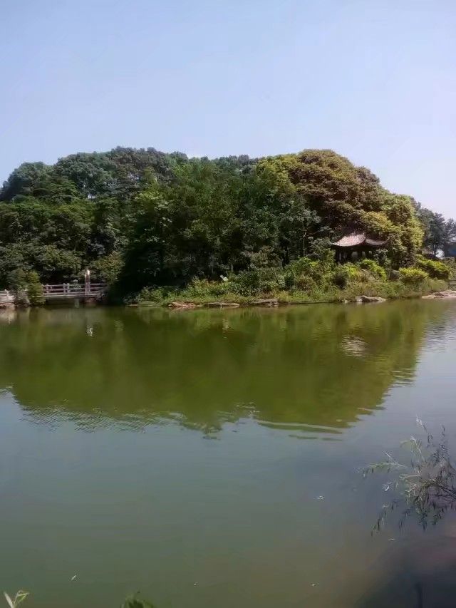 picname