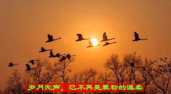 飘翎《岁月无声，已不再是最初的温柔》第六期（总第205期）选刊的作品（图2）