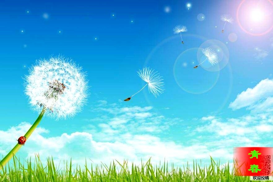 英菽短诗《青春》第六期（总第206期）选刊的作品（图2）
