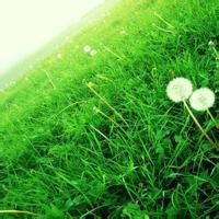 picname